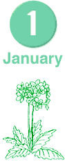 January