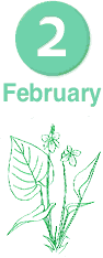 February