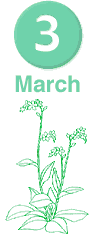 March