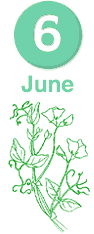 June