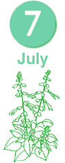 July