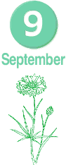 September