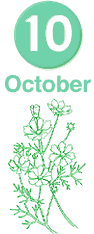 October