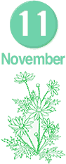 November